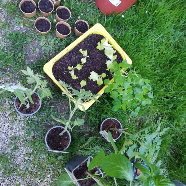 IMG_20230423_195627[1]